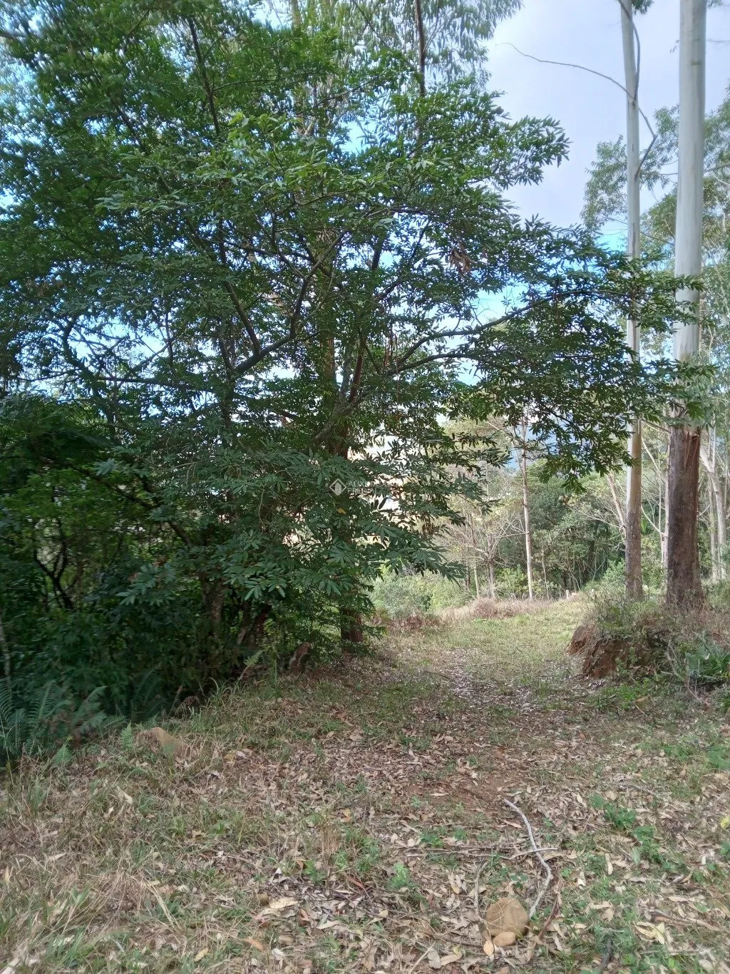 Imóvel — foto 2