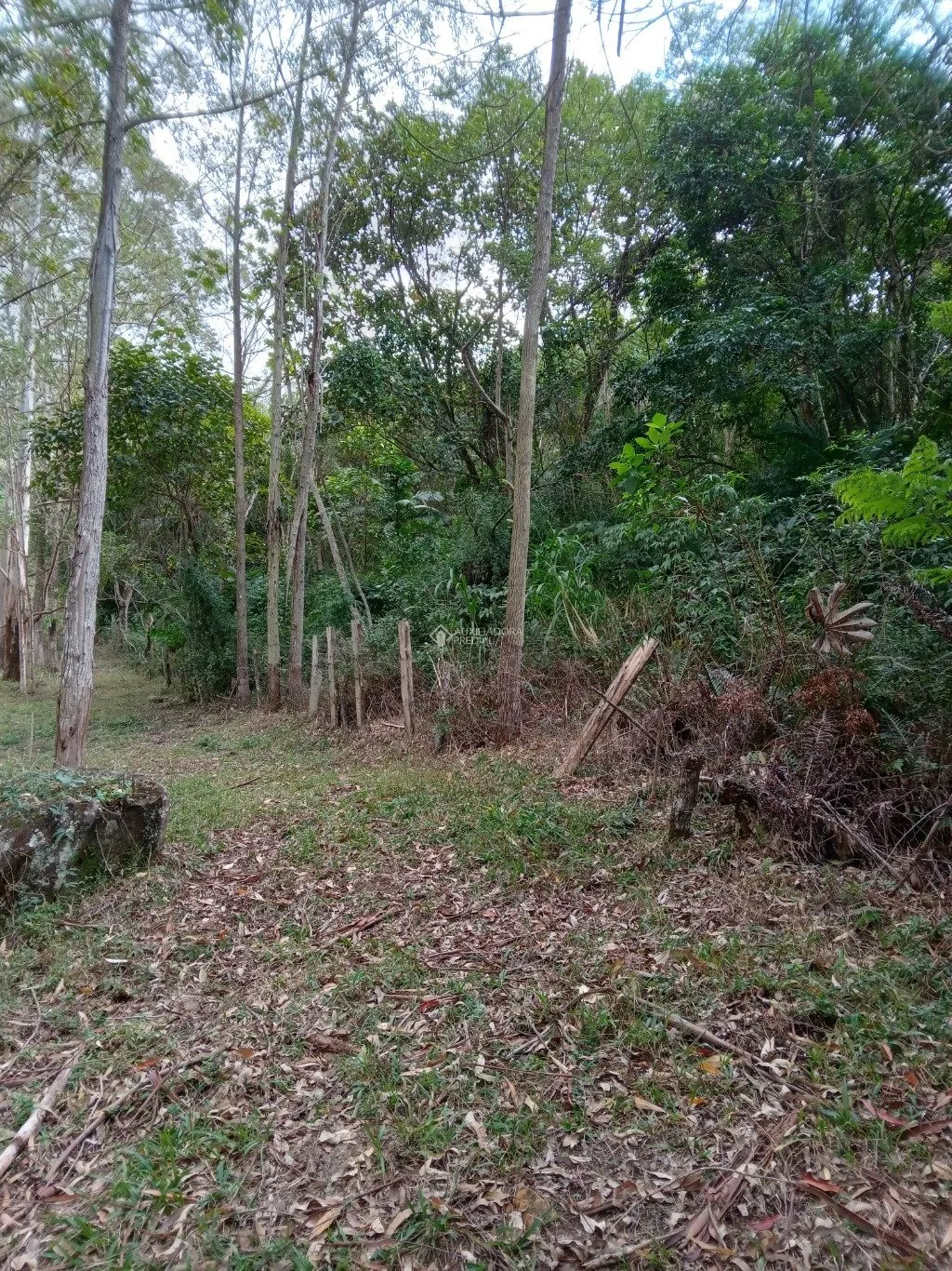 Imóvel — foto 3