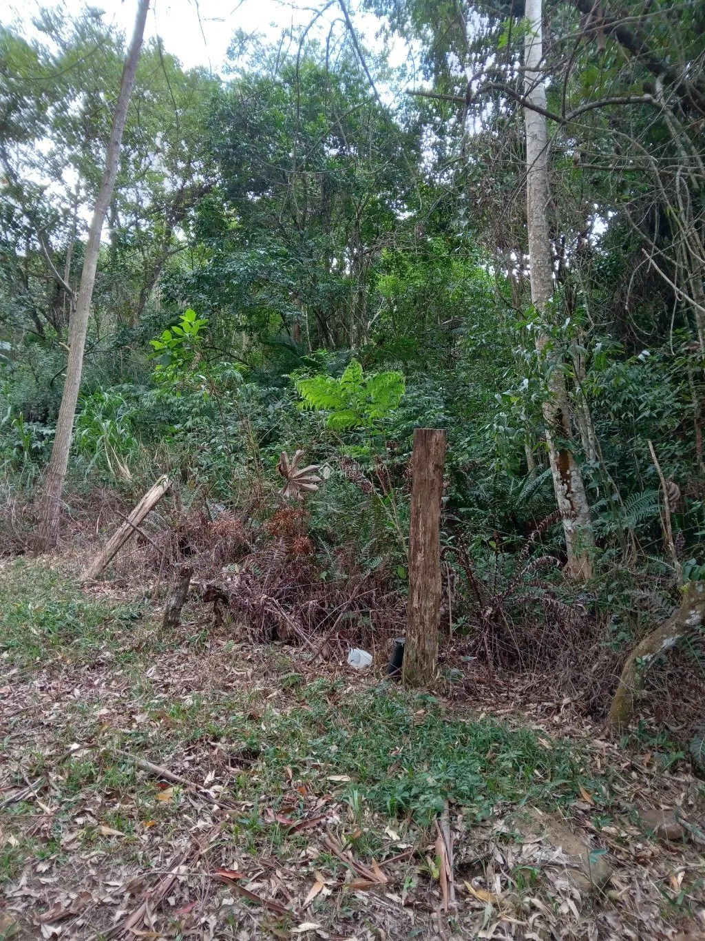 Imóvel — foto 4