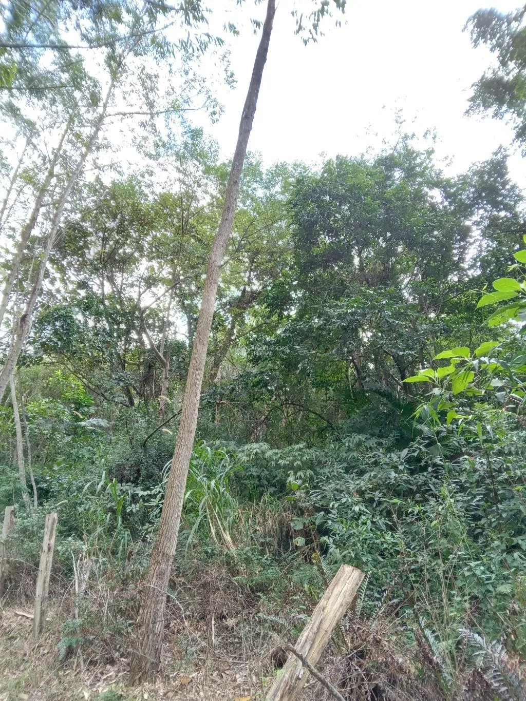Imóvel — foto 5