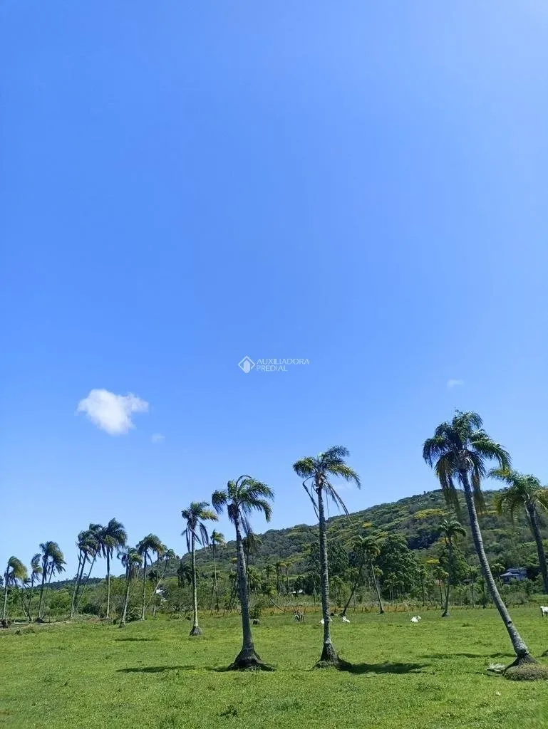 Imóvel — foto 3