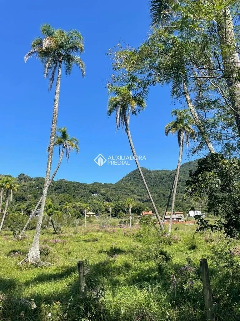 Imóvel — foto 4