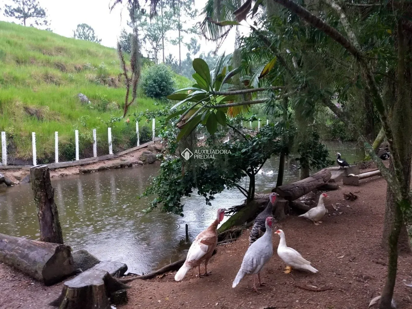 Imóvel — foto 4