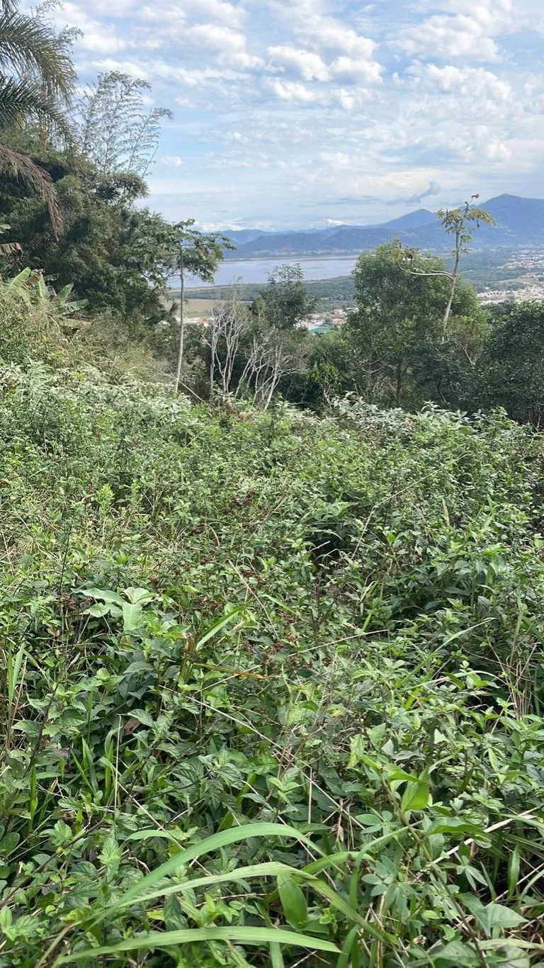 Imóvel — foto 5