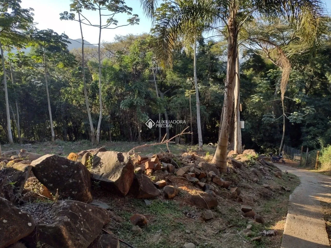 Imóvel — foto 4