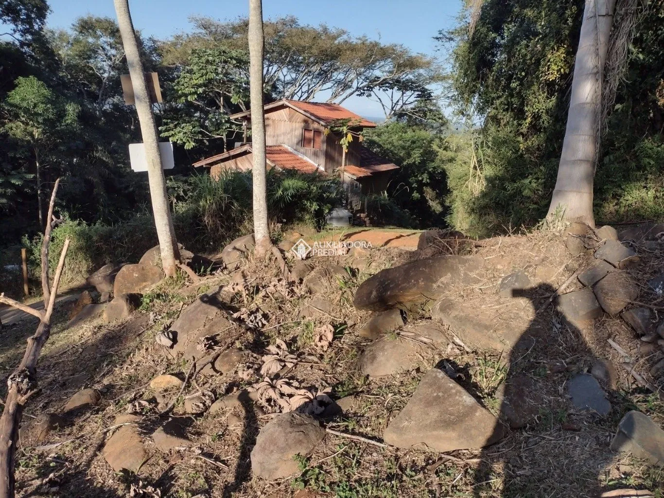 Imóvel — foto 5