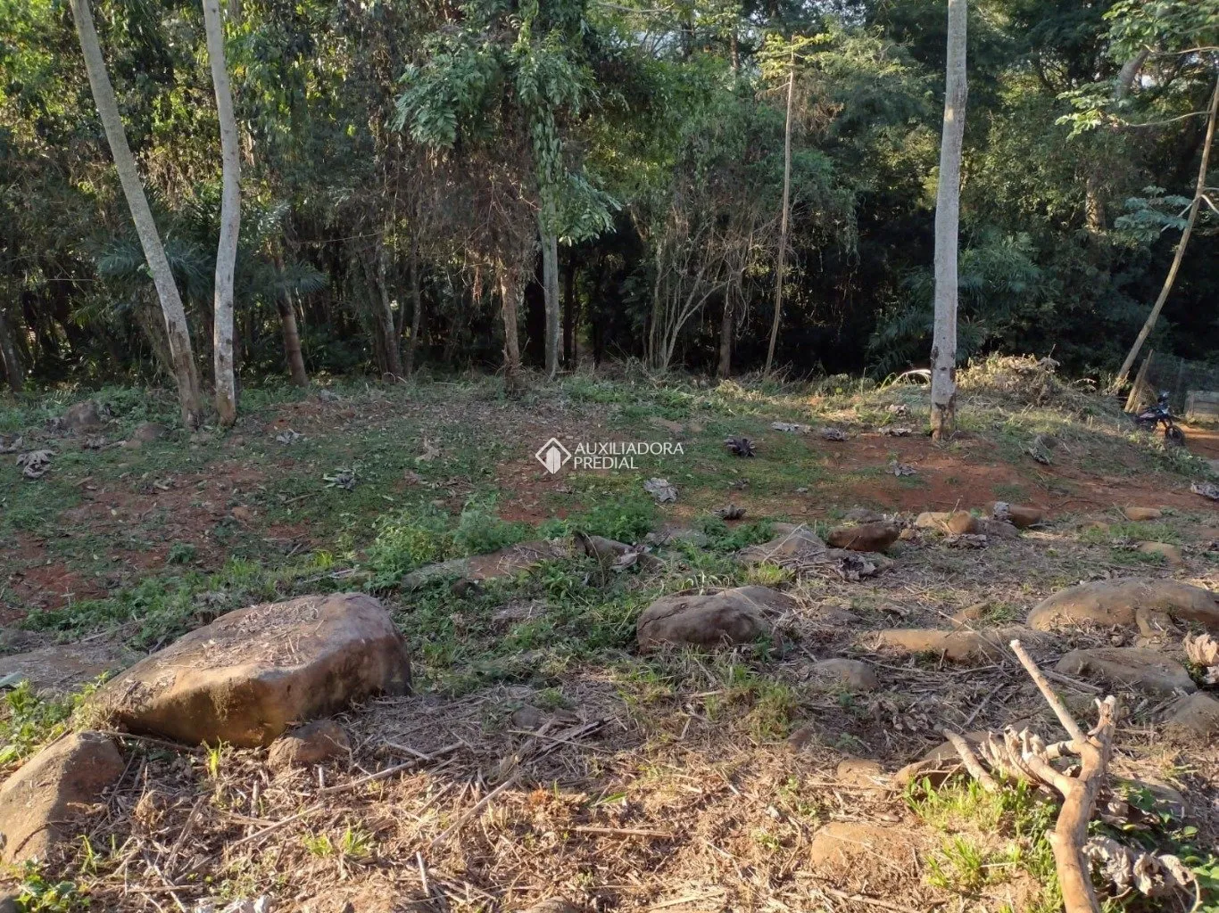 Imóvel — foto 6
