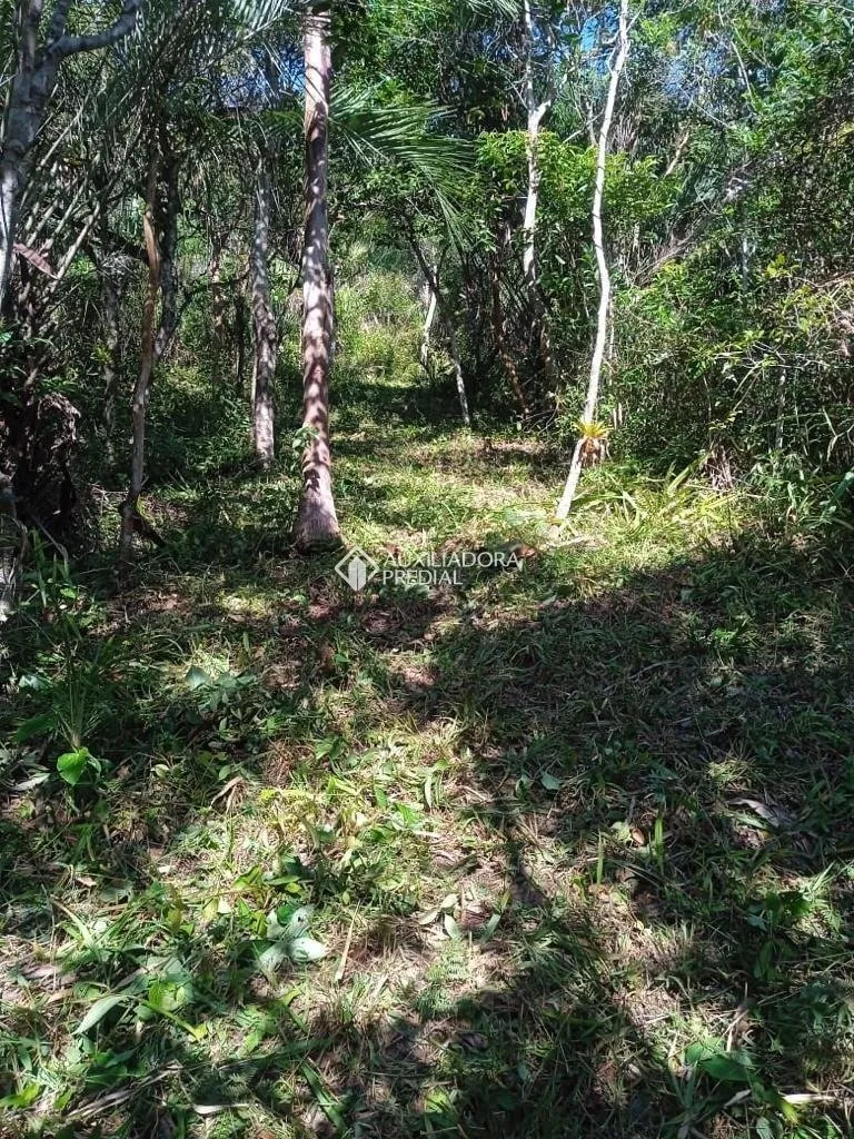 Imóvel — foto 5