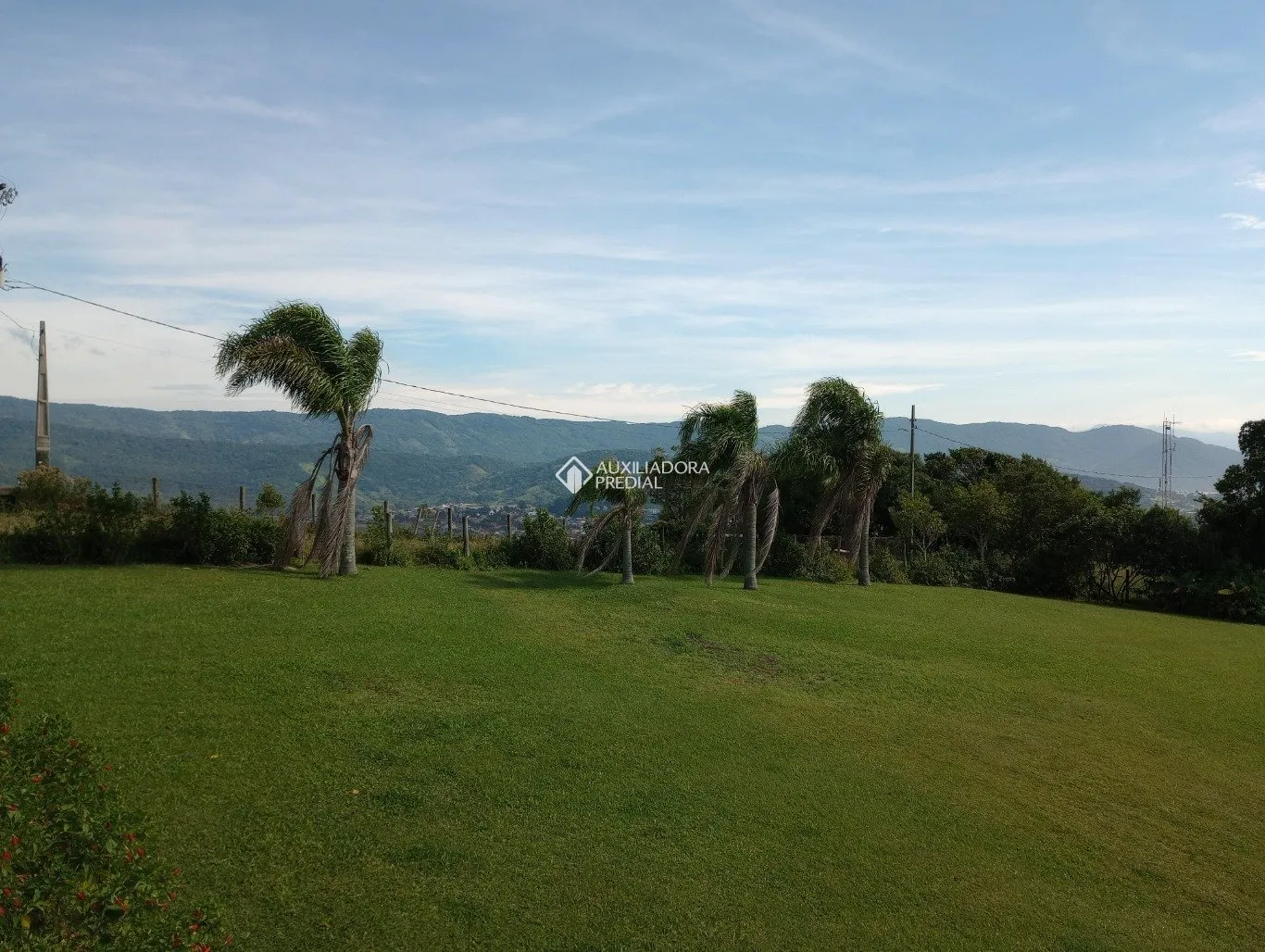 Imóvel — foto 6