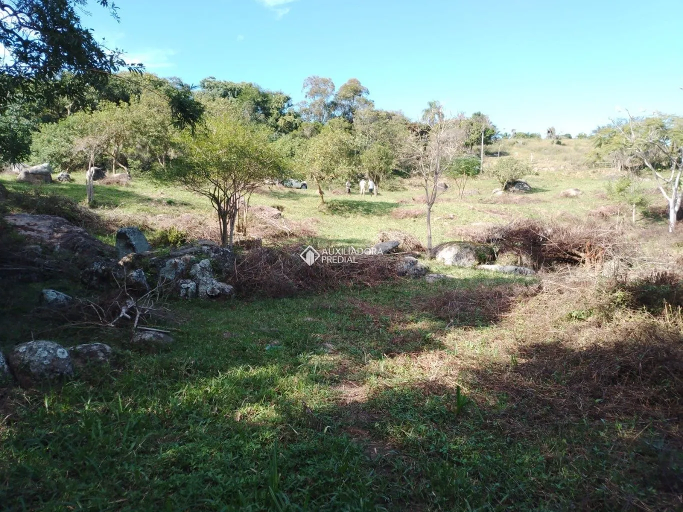 Imóvel — foto 5