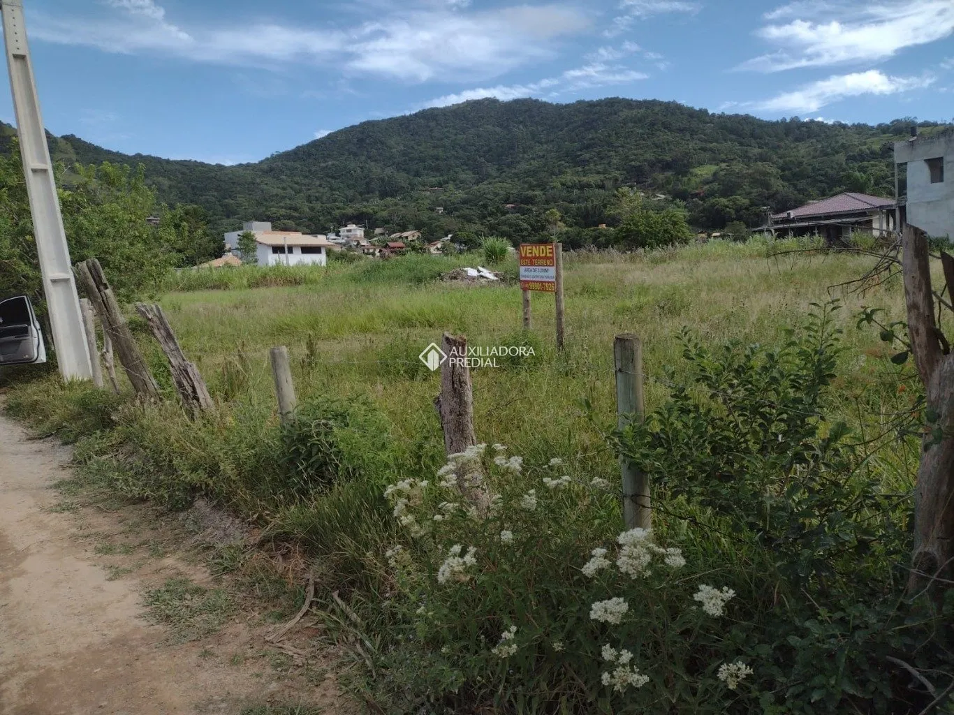 Imóvel - foto 1