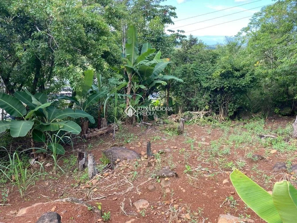 Imóvel — foto 4