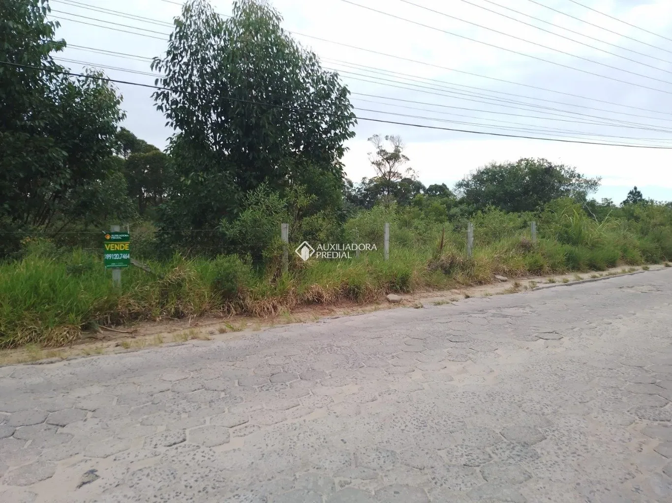 Imóvel - foto 1