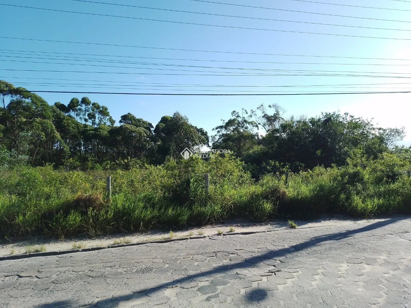 Imóvel — foto 4