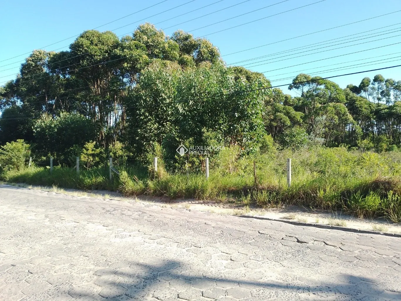 Imóvel — foto 5