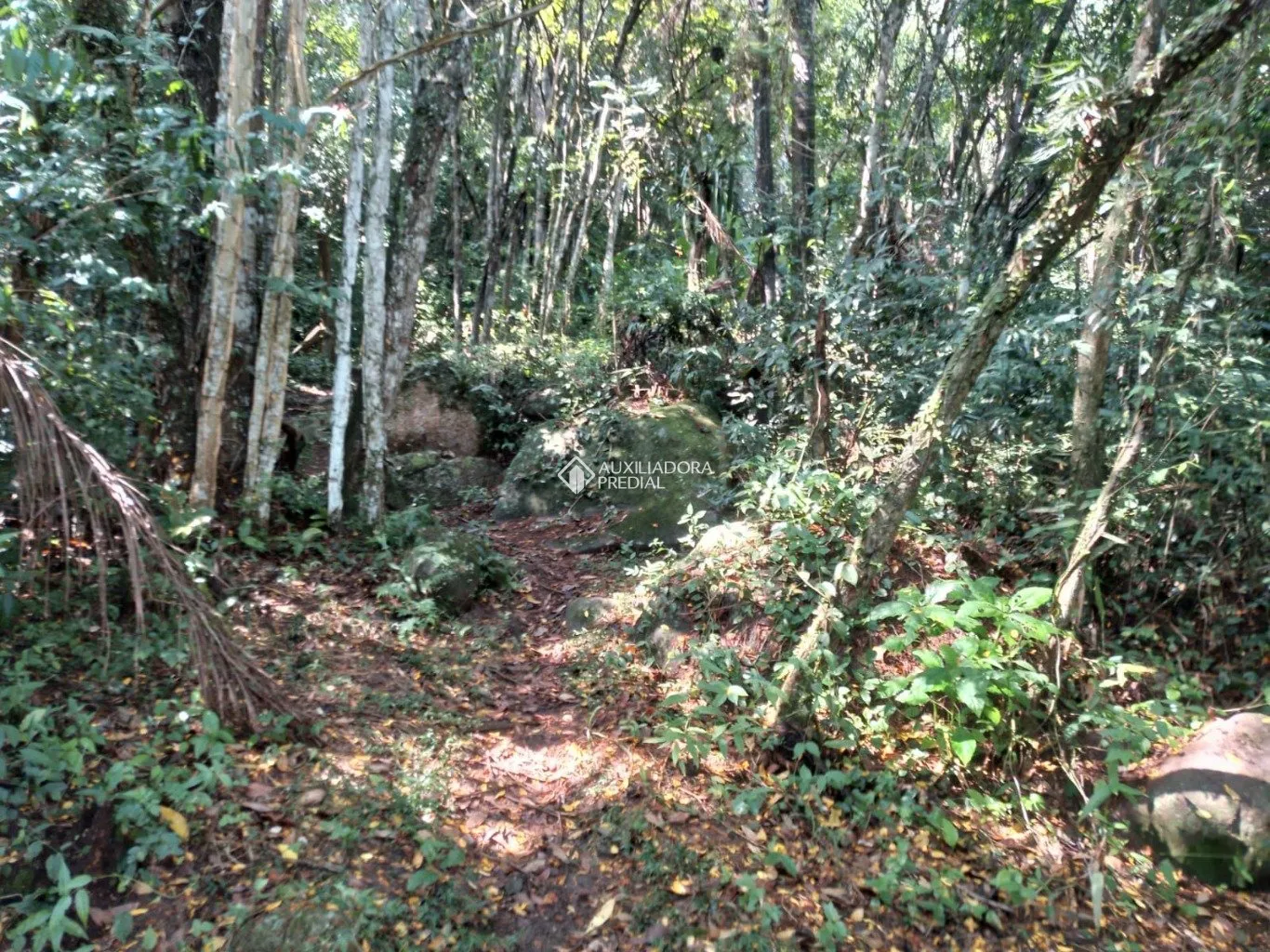 Imóvel — foto 6