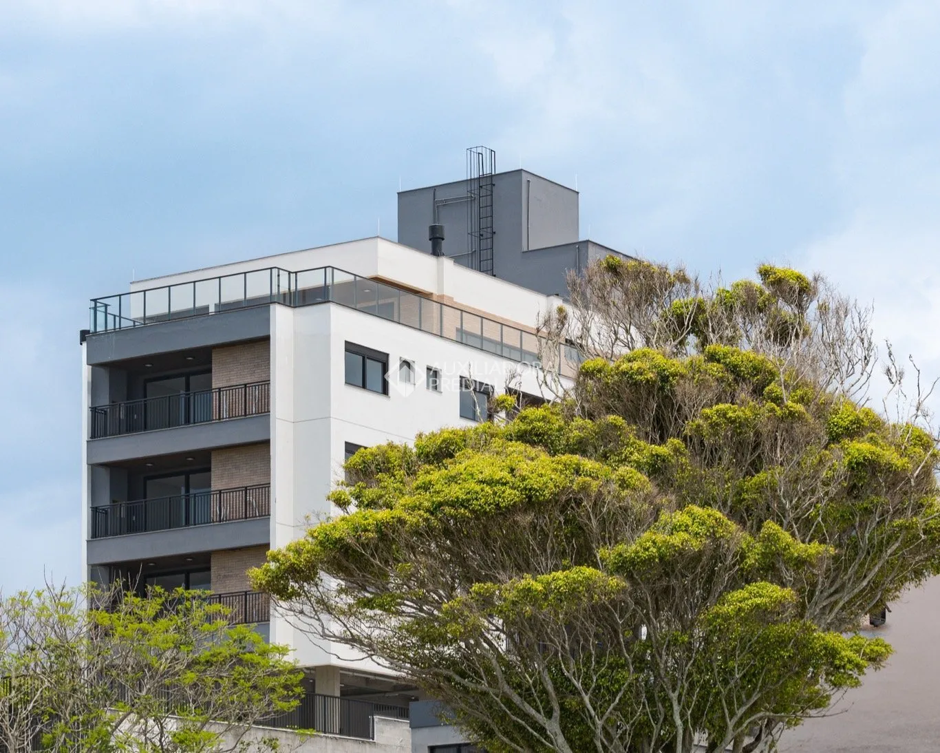 Imóvel — foto 5