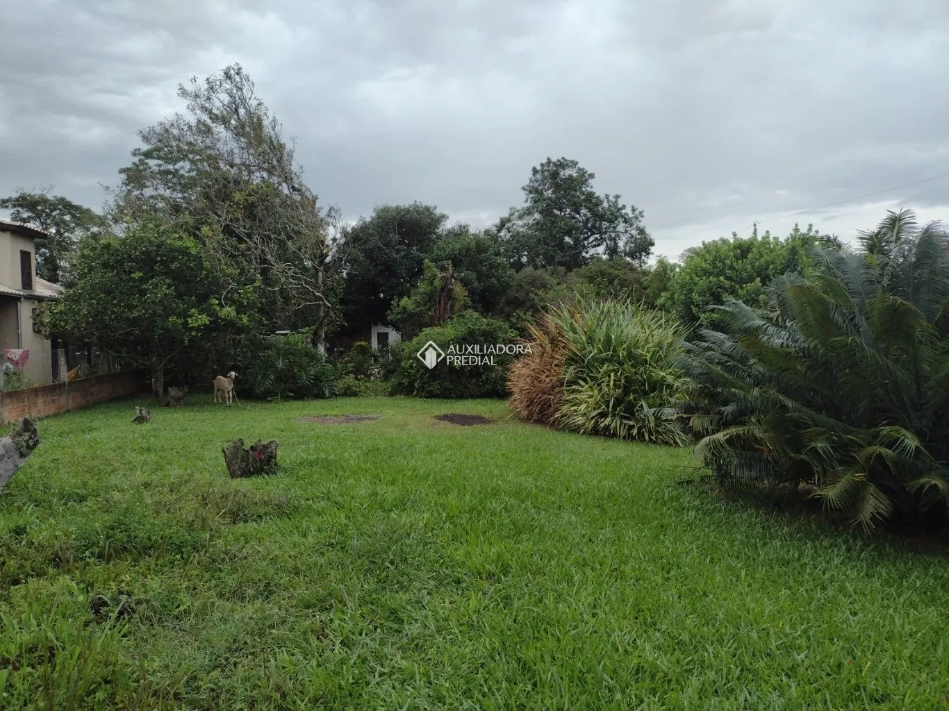 Imóvel — foto 2