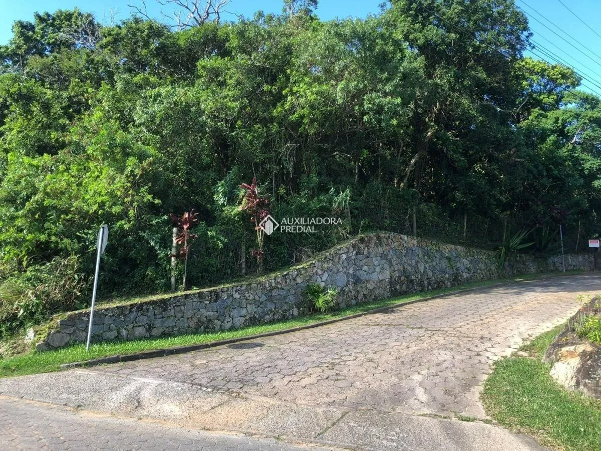 Imóvel - foto 1