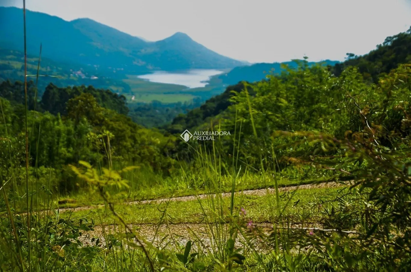 Imóvel - foto 1