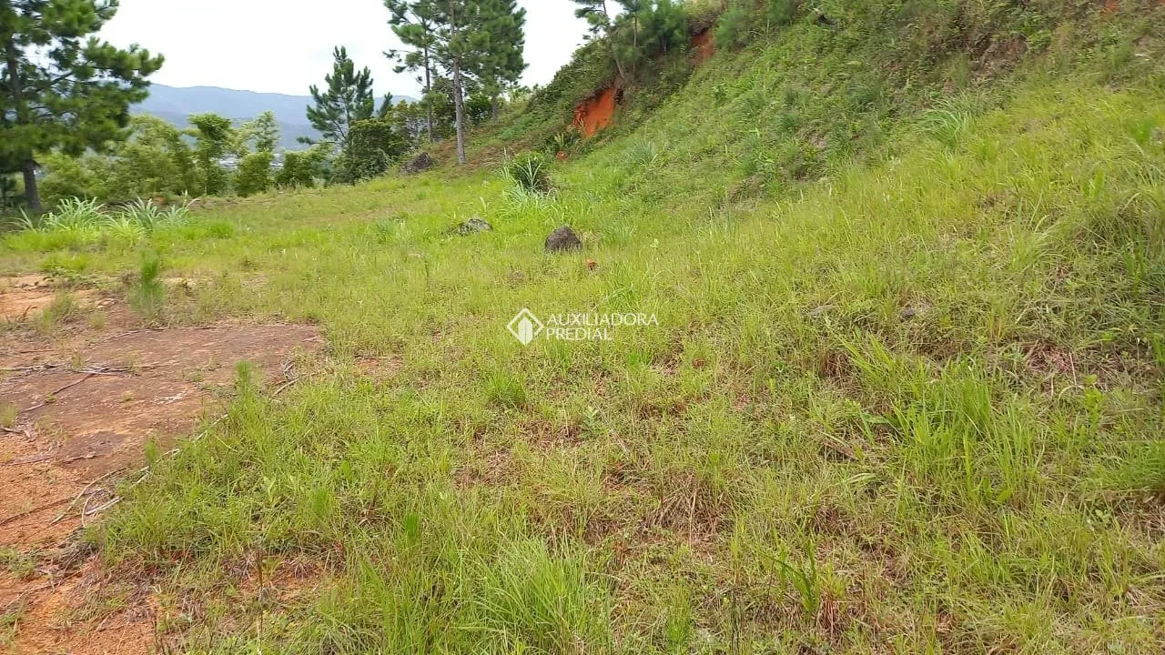 Imóvel — foto 6