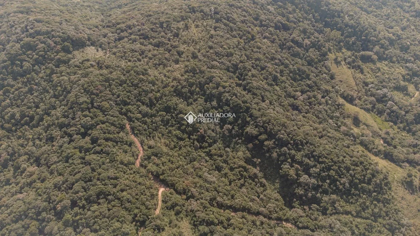 Imóvel — foto 4