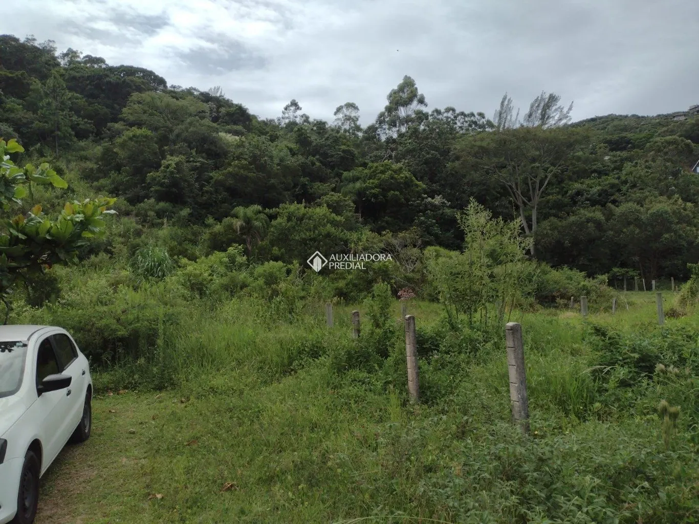 Imóvel - foto 1