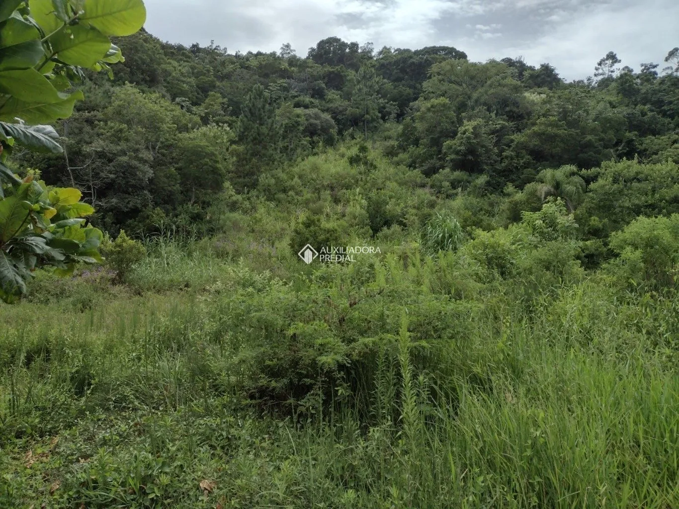 Imóvel — foto 3
