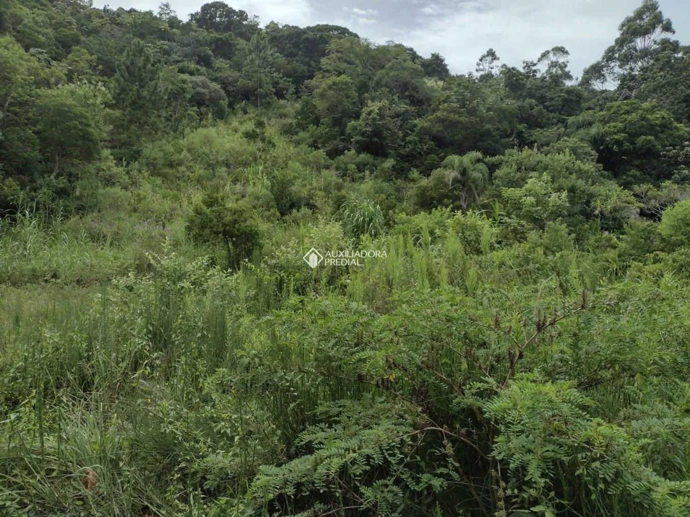 Imóvel — foto 4