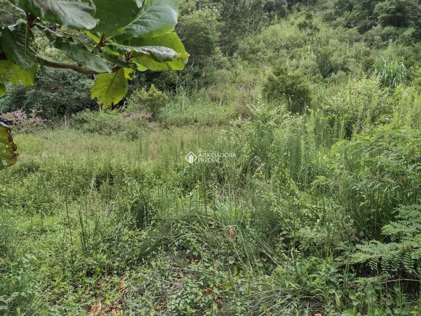 Imóvel — foto 5