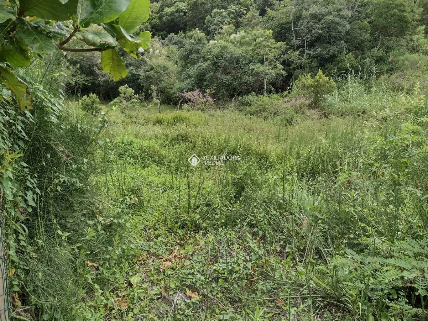 Imóvel — foto 6