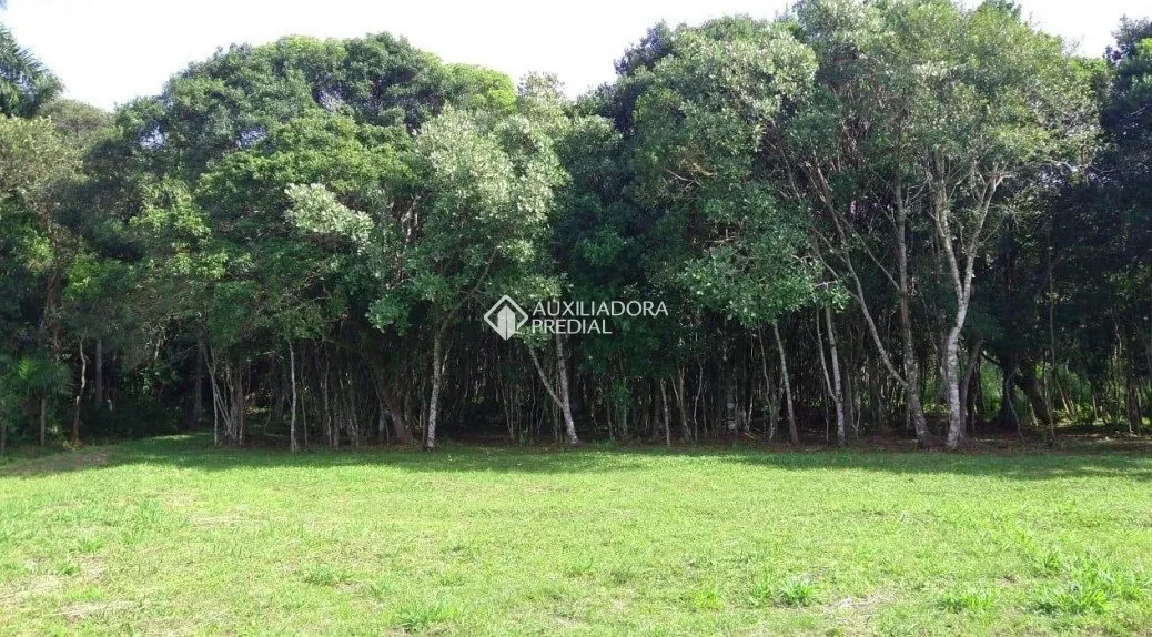 Imóvel — foto 4