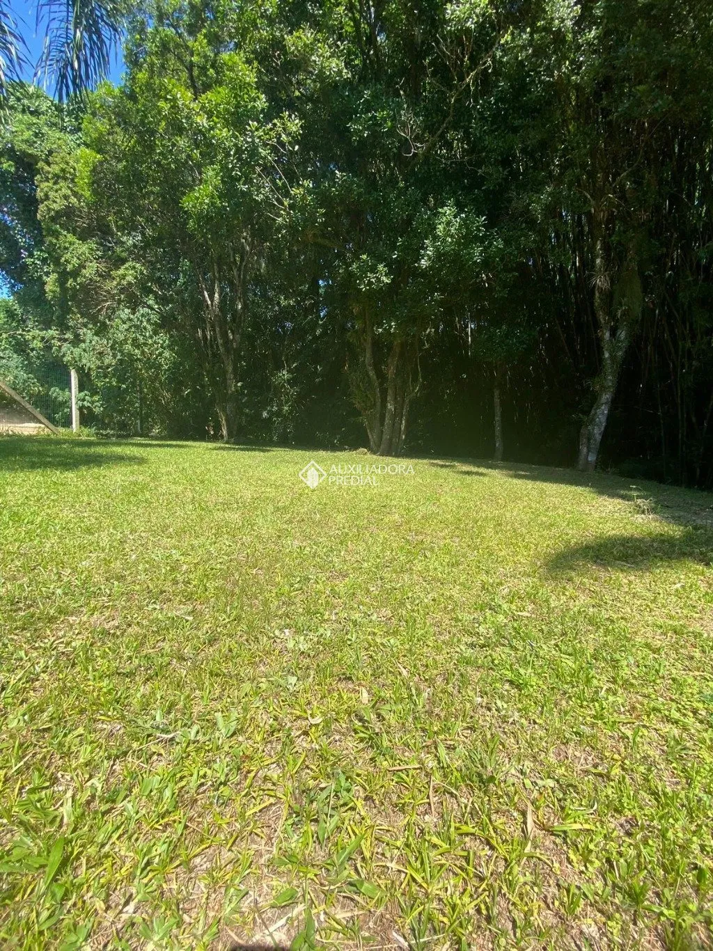 Imóvel - foto 1