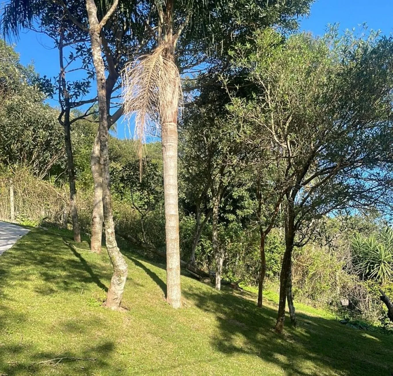 Imóvel — foto 6