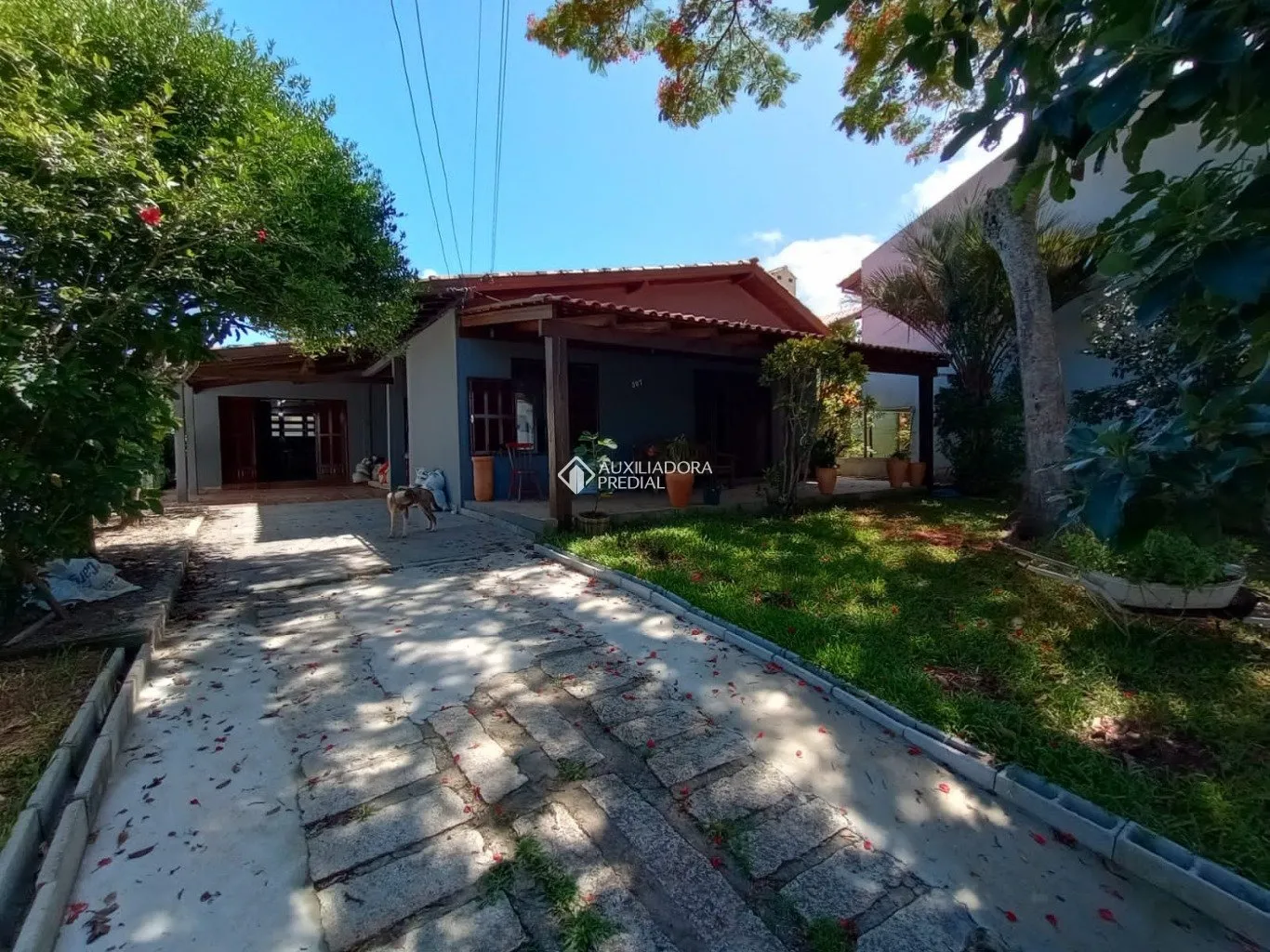 Imóvel — foto 5