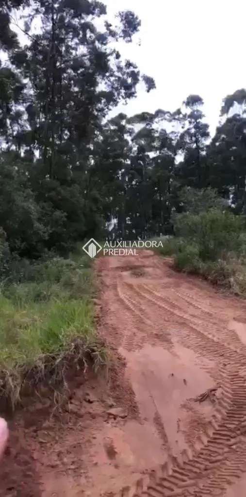 Imóvel - foto 1