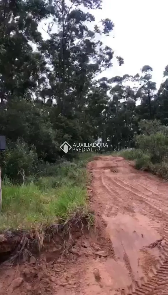 Imóvel — foto 4
