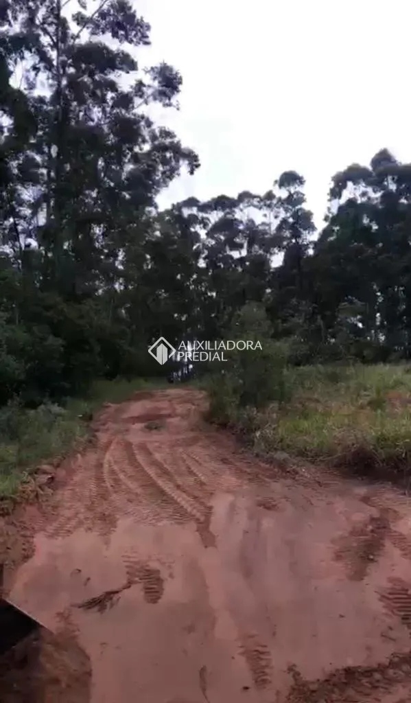 Imóvel — foto 6
