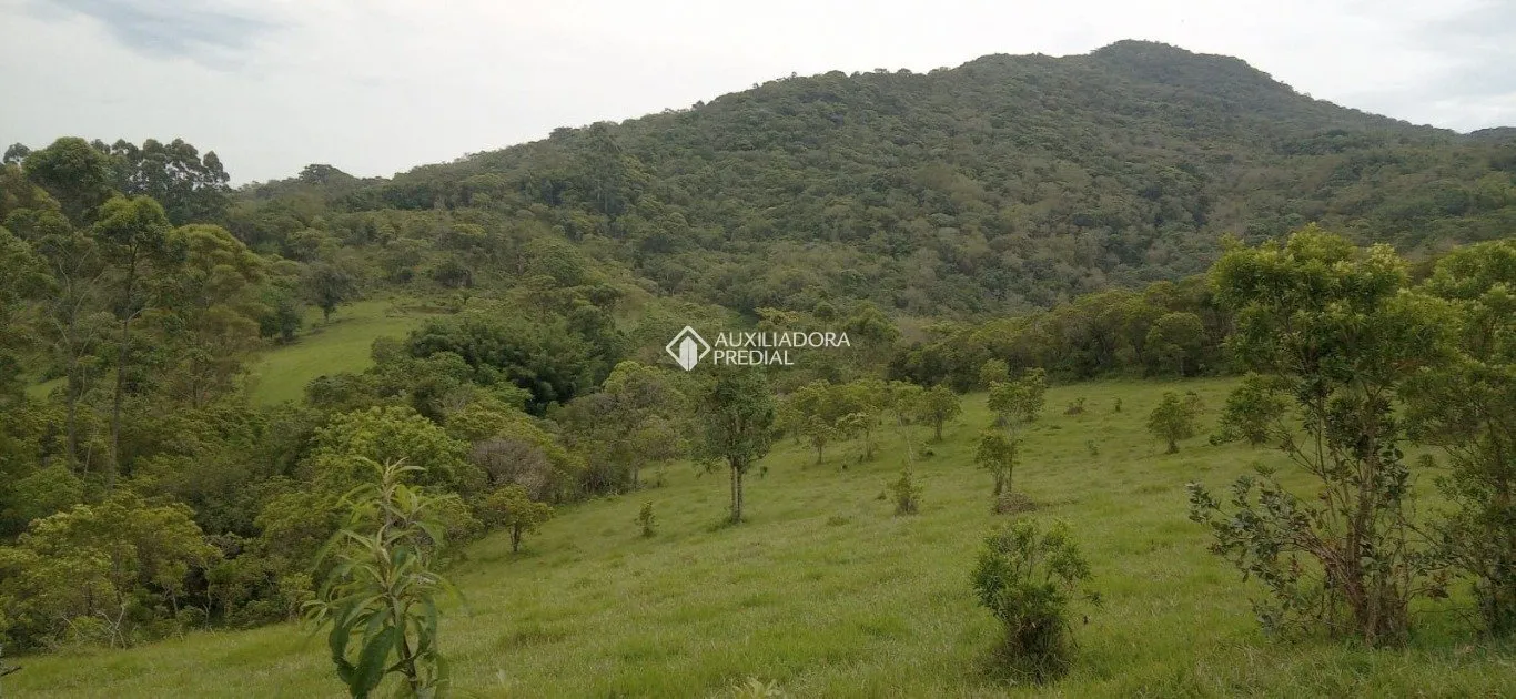 Imóvel - foto 1