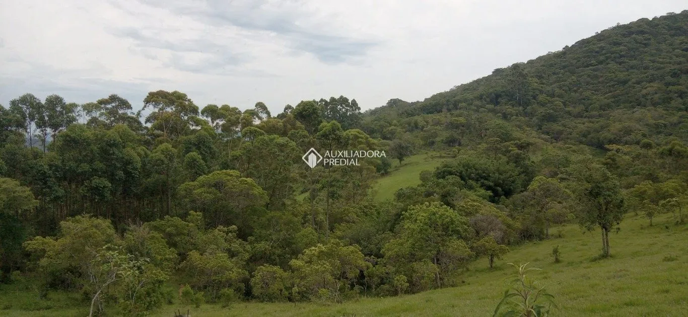 Imóvel — foto 4