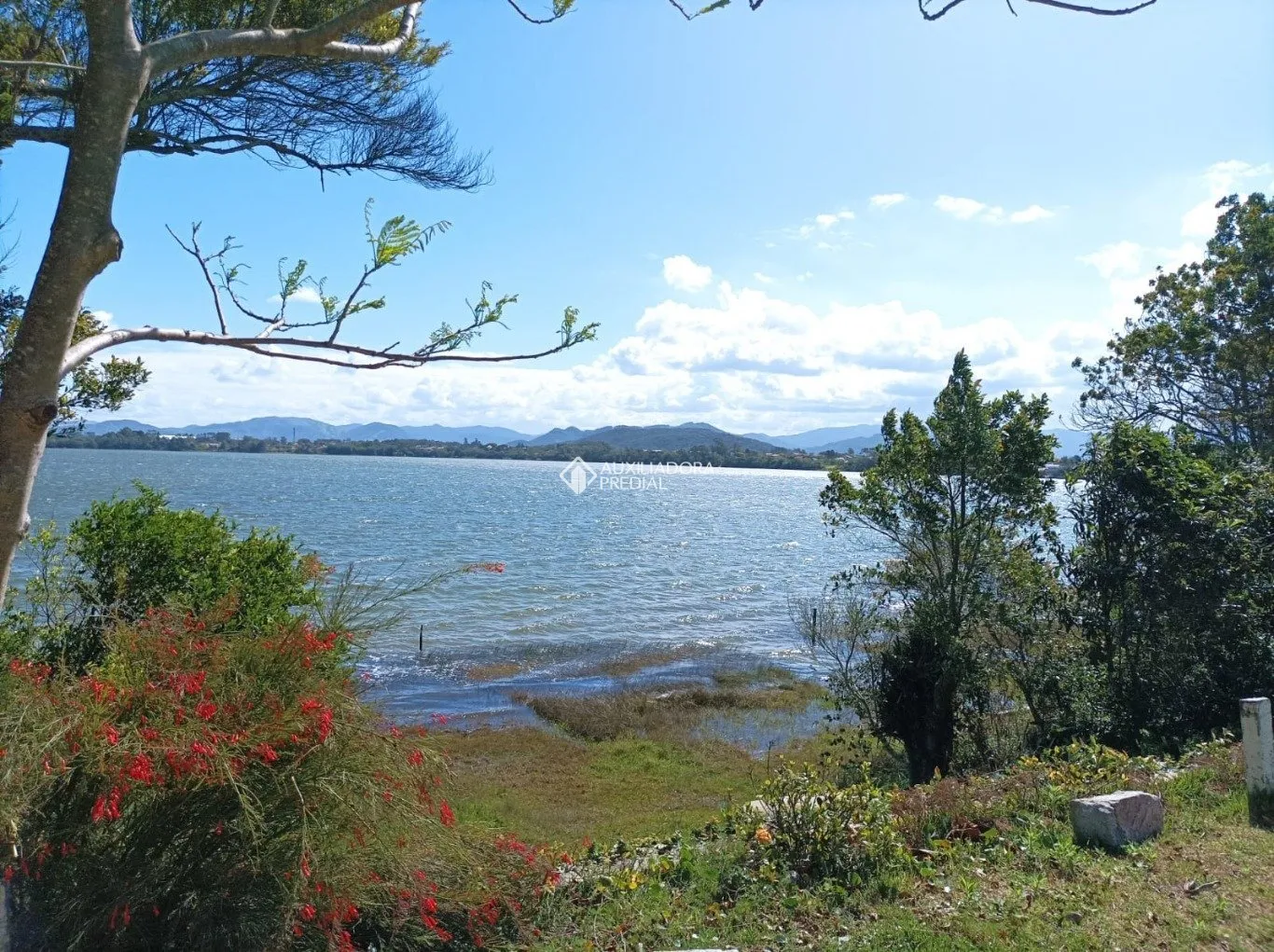 Imóvel — foto 5