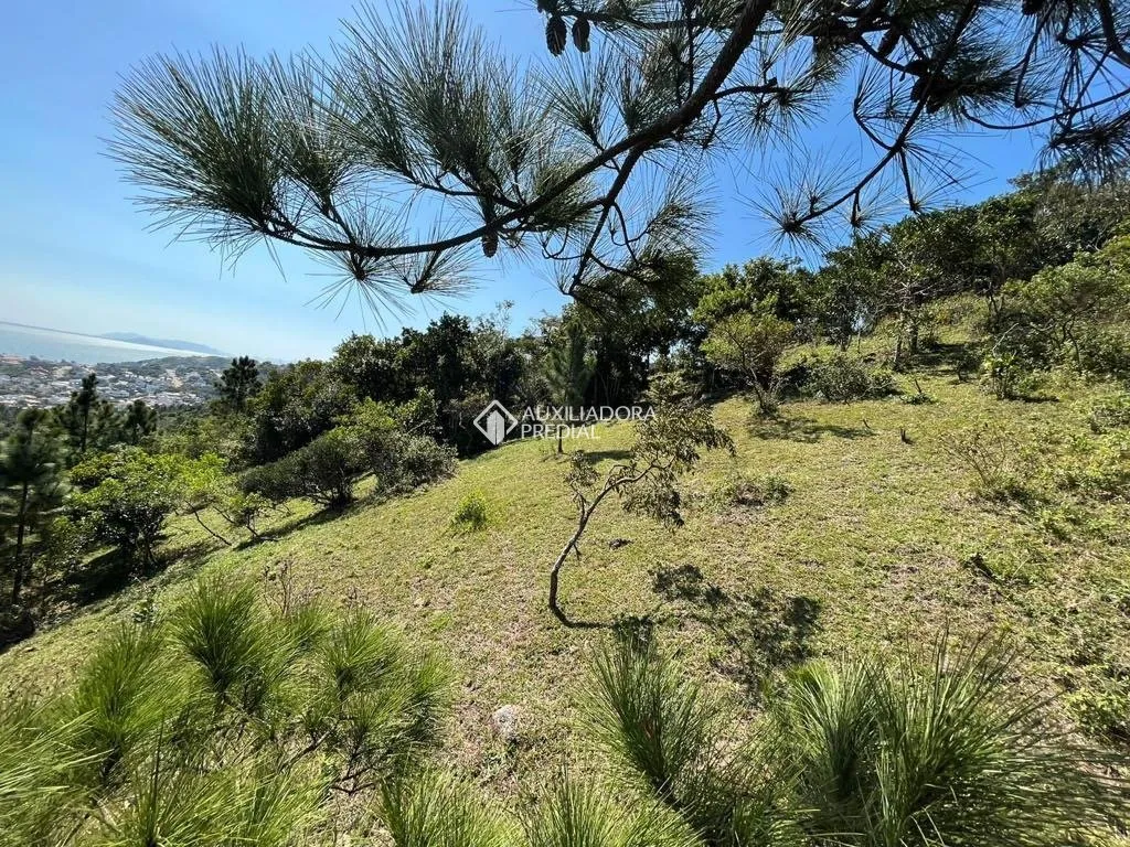 Imóvel — foto 3