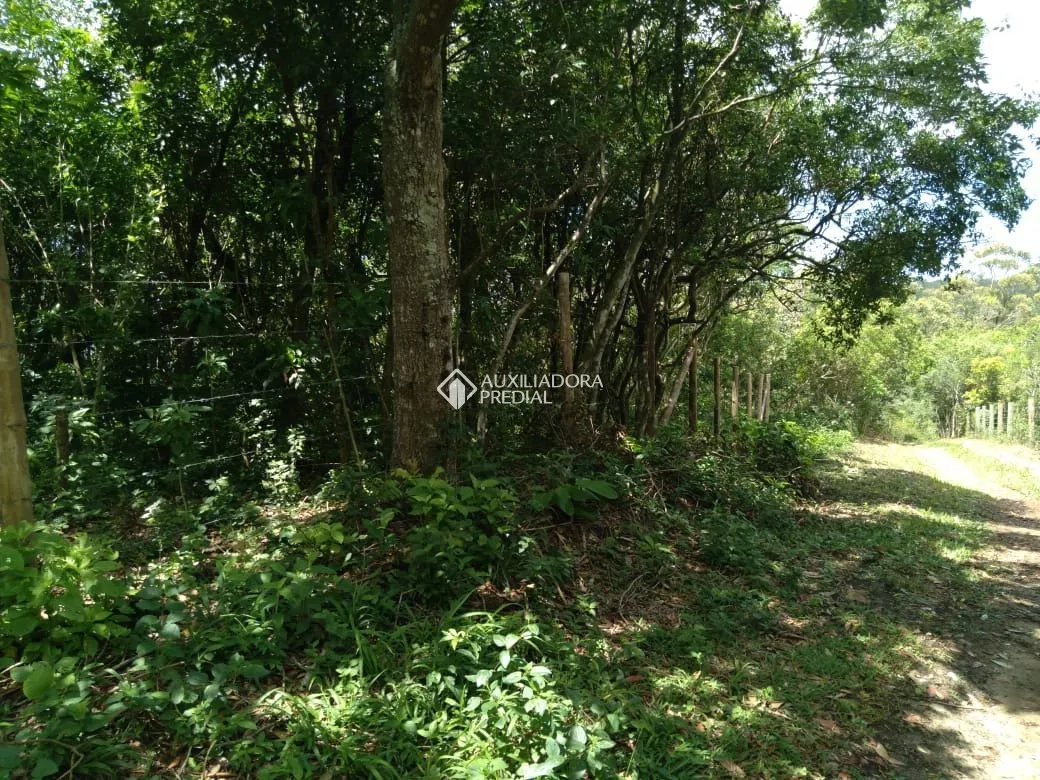 Imóvel — foto 4