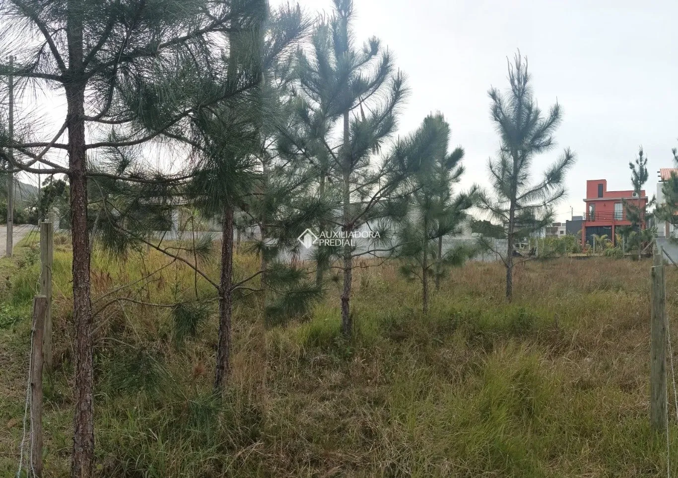 Imóvel — foto 6