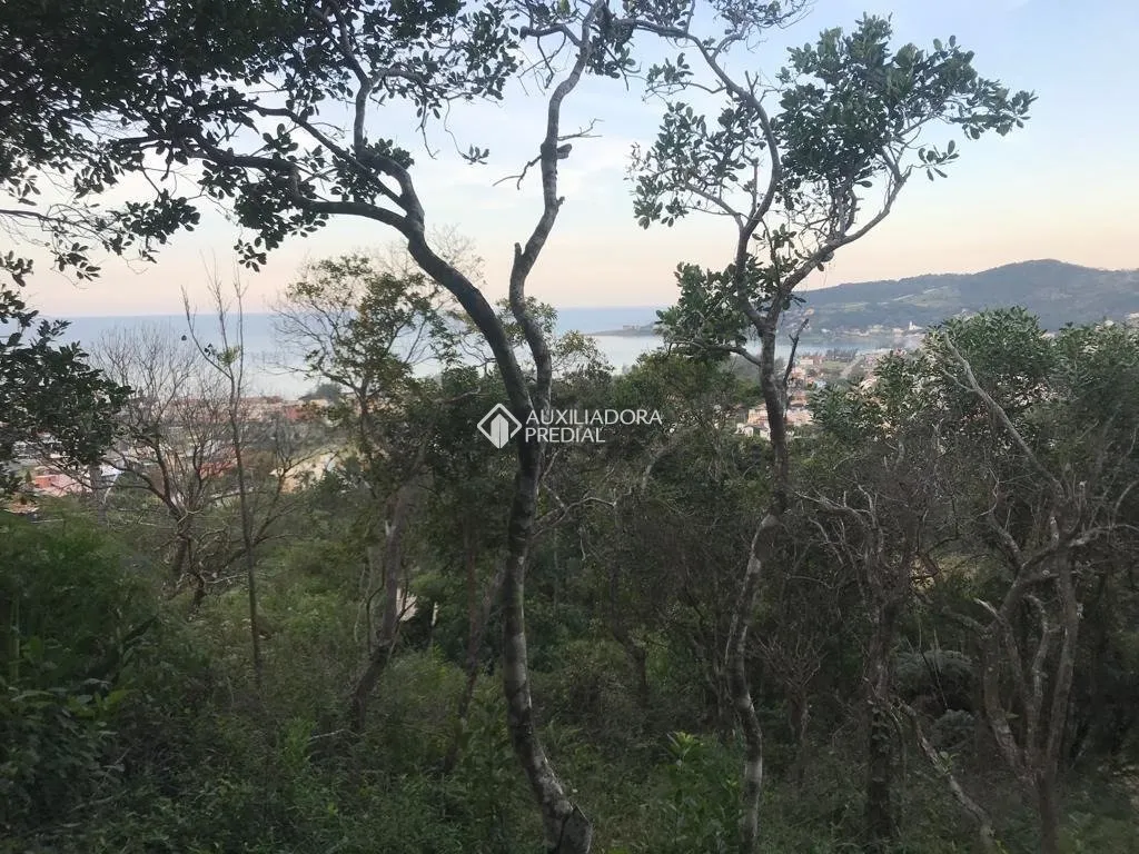 Imóvel - foto 1