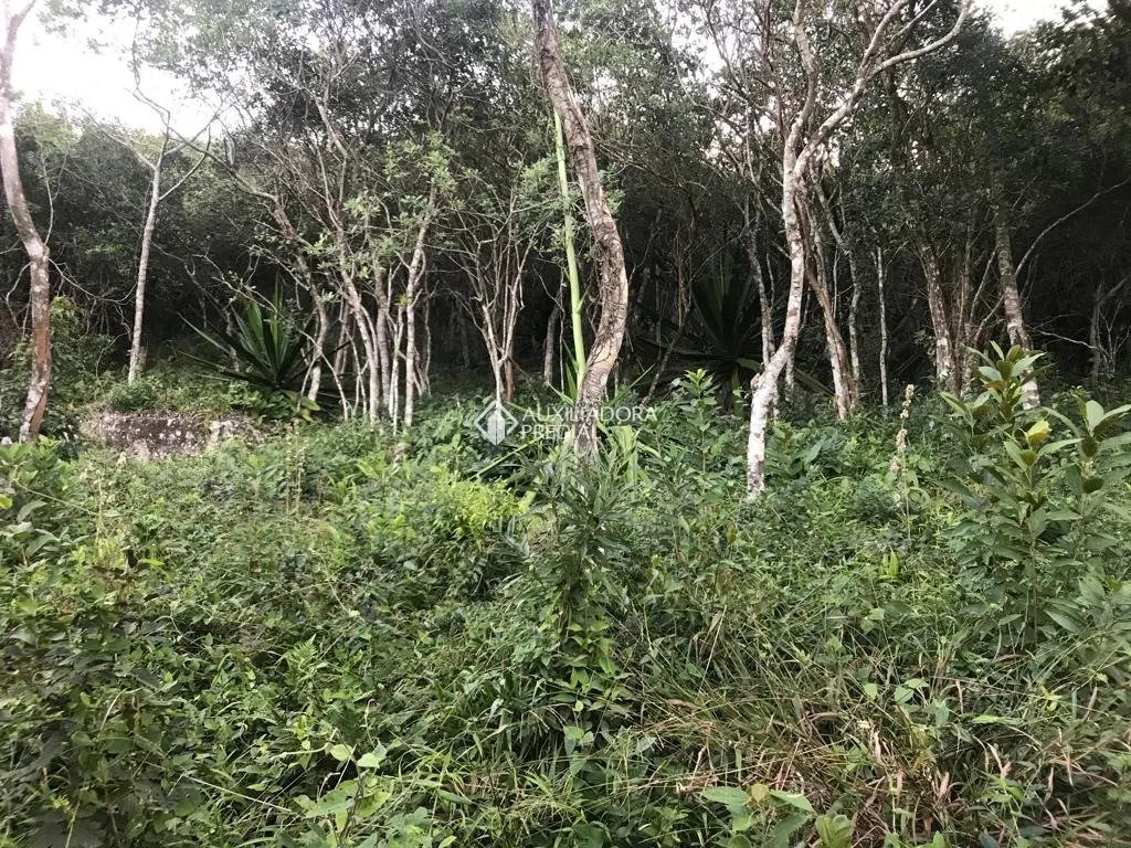 Imóvel — foto 4