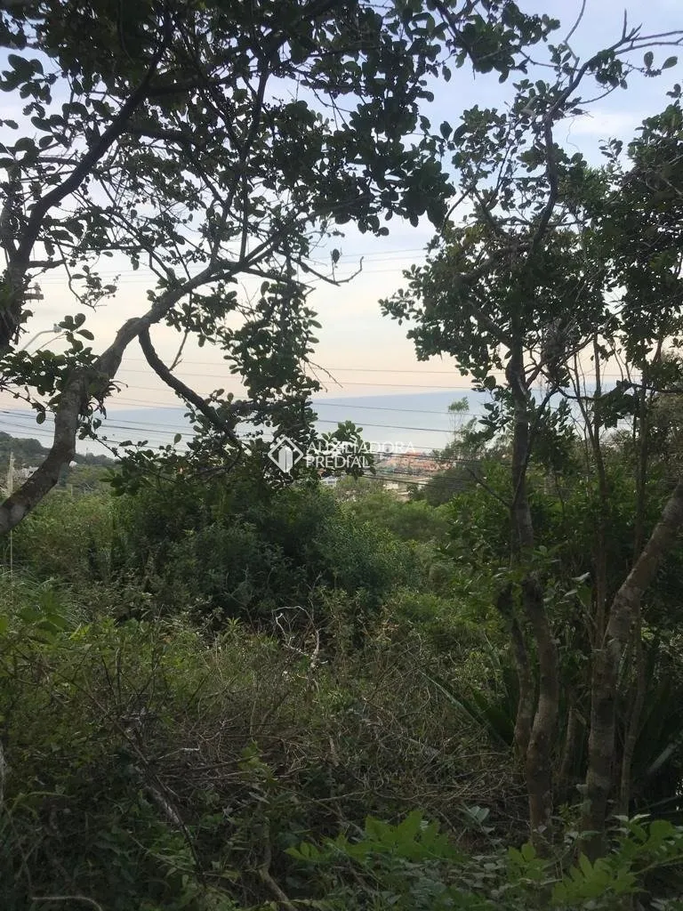 Imóvel — foto 5