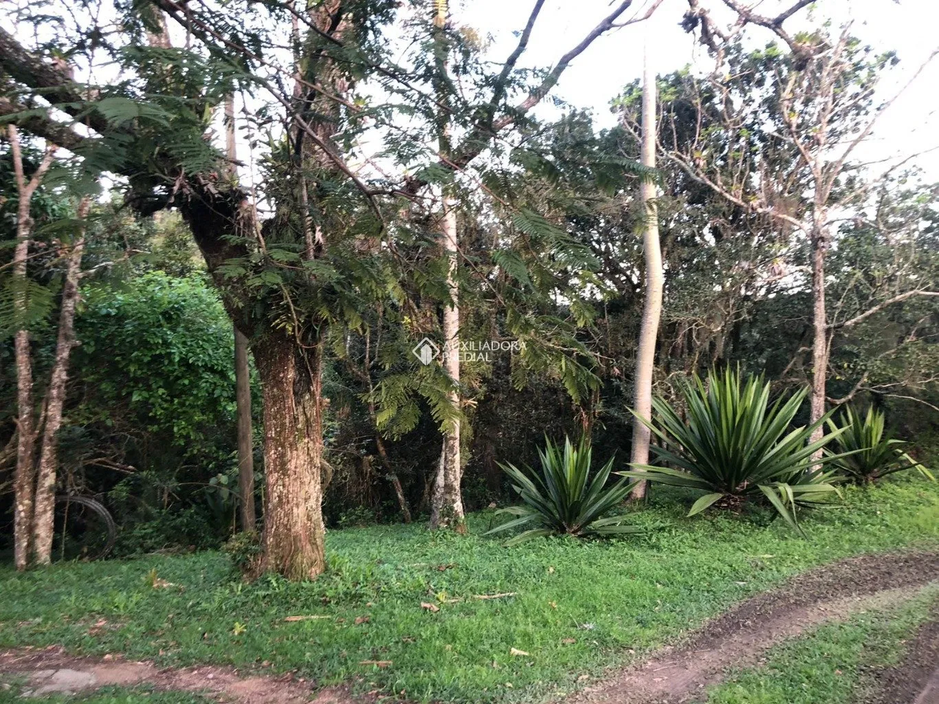 Imóvel - foto 1