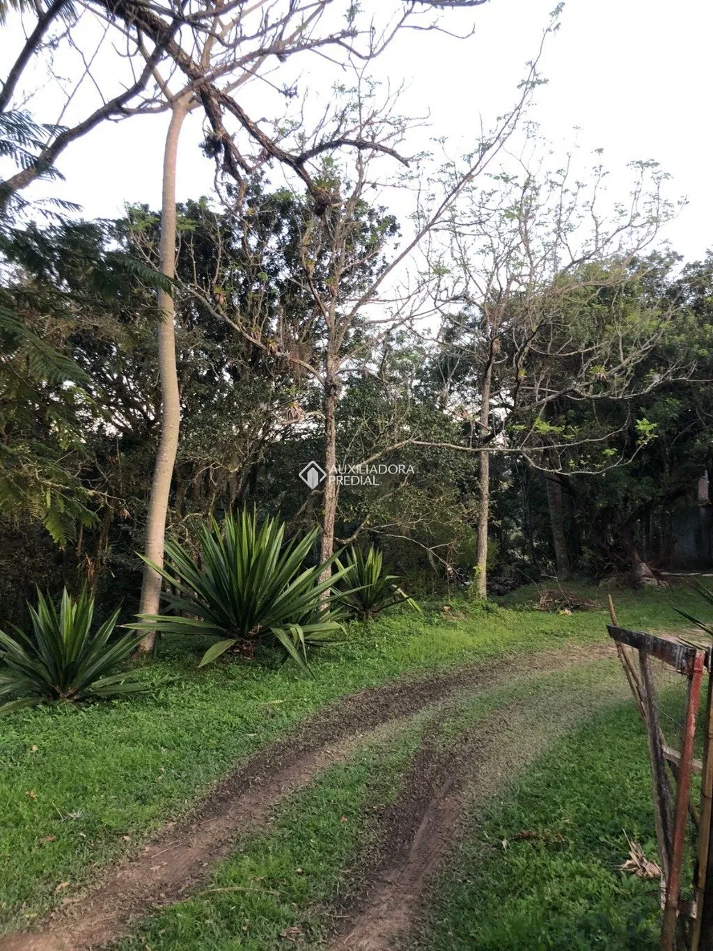Imóvel — foto 2