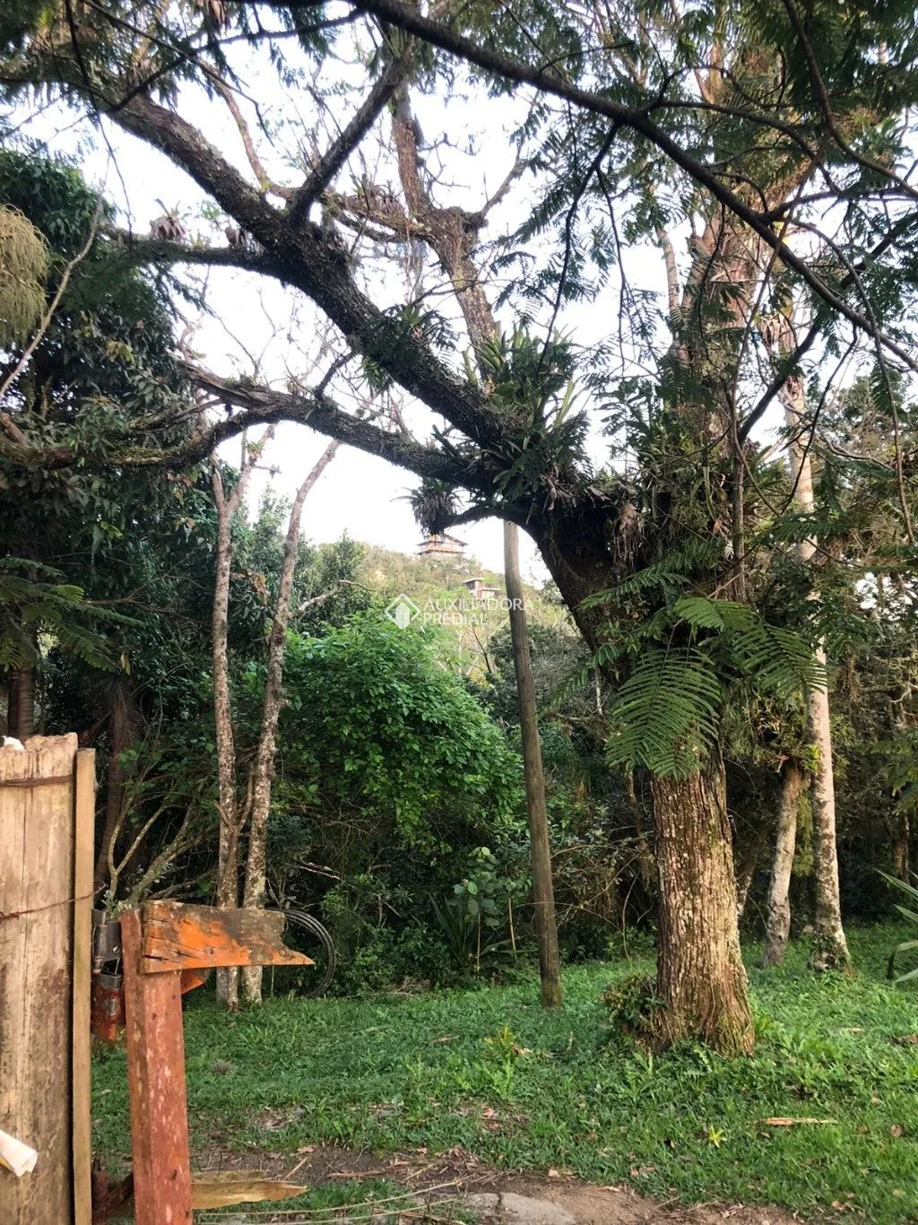 Imóvel — foto 4